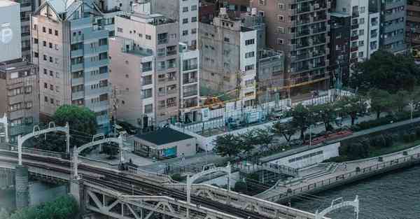 2022年农历腊月二十三日出生的五行缺木女孩温柔名字