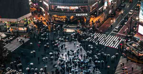 属猴2025年6月24日运势,属猴人2025年6月24日财运,生肖猴2025年6月24日运势